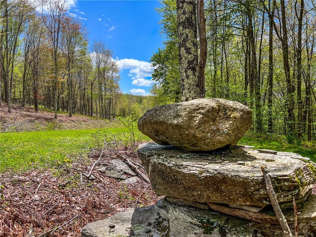 #14 photo, Rt-28, Andes , NY 13731