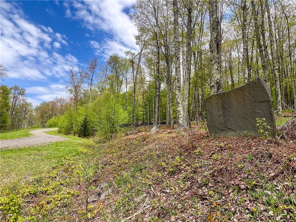 #15 photo, Rt-28, Andes , NY 13731