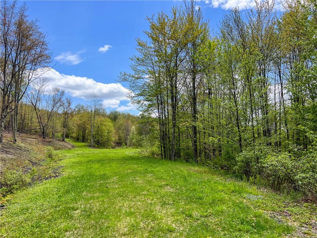 #16 photo, Rt-28, Andes , NY 13731