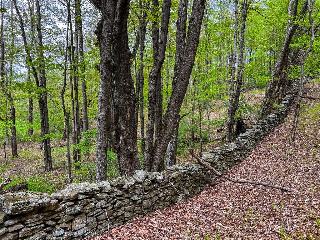 #18 photo, Rt-28, Andes , NY 13731