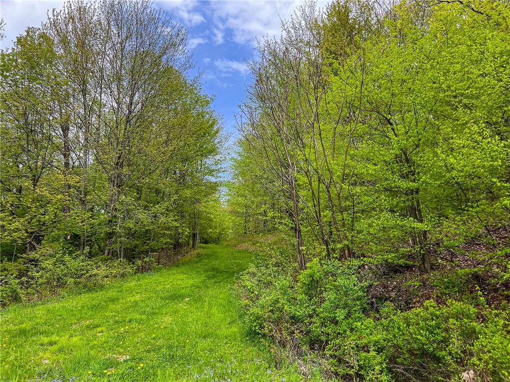 #19 photo, Rt-28, Andes , NY 13731
