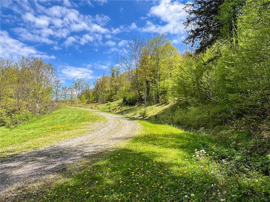 #3 photo, Rt-28, Andes , NY 13731