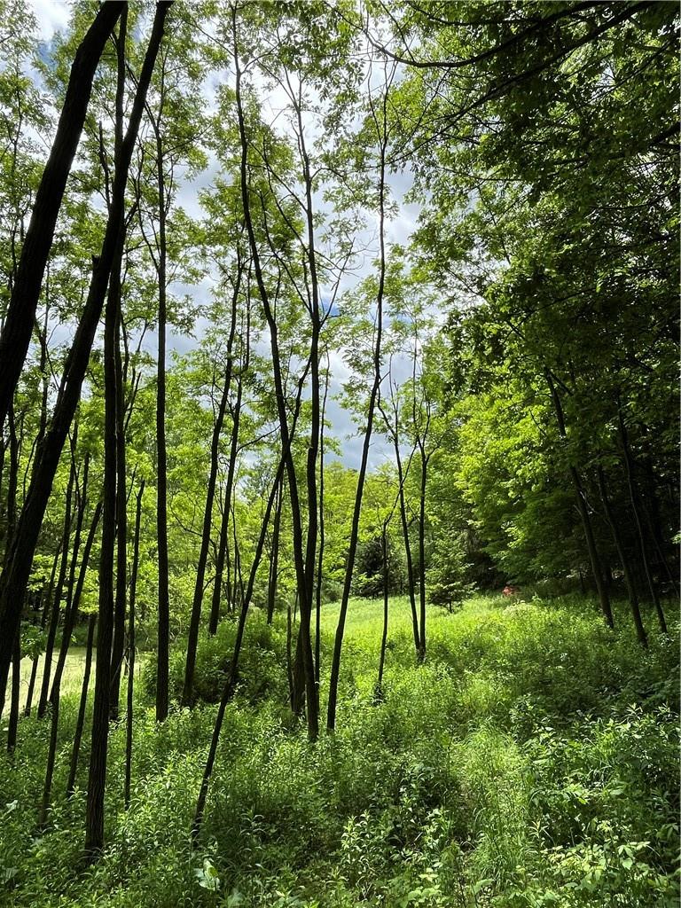 #10 photo, Dahlia LOT 1 Road, Livingston Manor , NY 12758