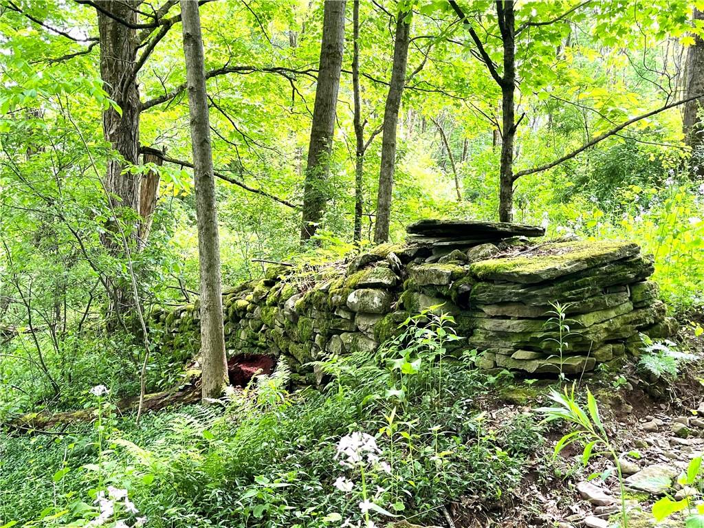 #12 photo, Dahlia LOT 1 Road, Livingston Manor , NY 12758