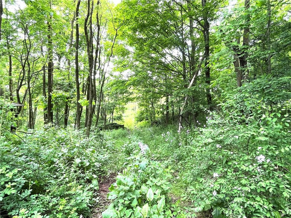 #14 photo, Dahlia LOT 1 Road, Livingston Manor , NY 12758