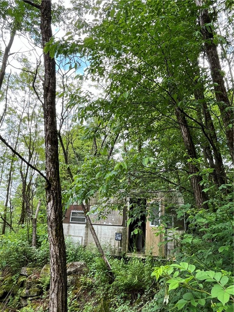 #17 photo, Dahlia LOT 1 Road, Livingston Manor , NY 12758