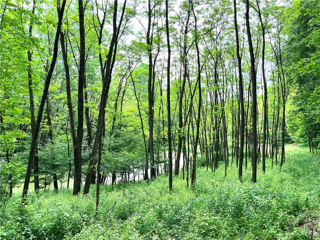 #2 photo, Dahlia LOT 1 Road, Livingston Manor , NY 12758