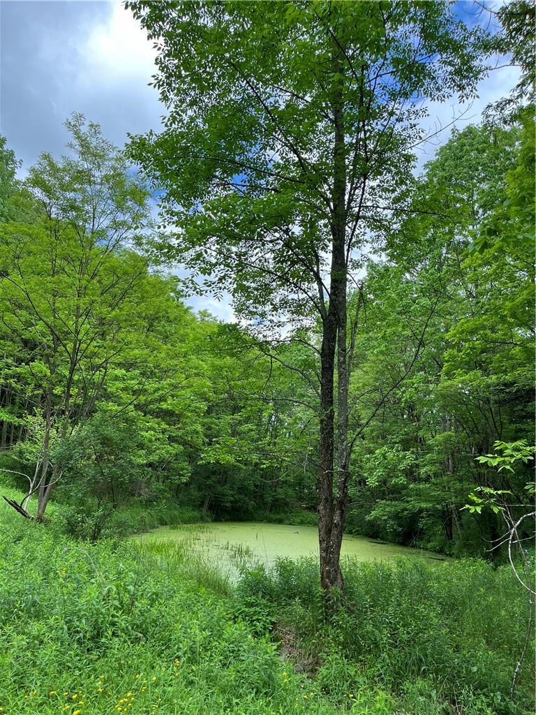 #20 photo, Dahlia LOT 1 Road, Livingston Manor , NY 12758