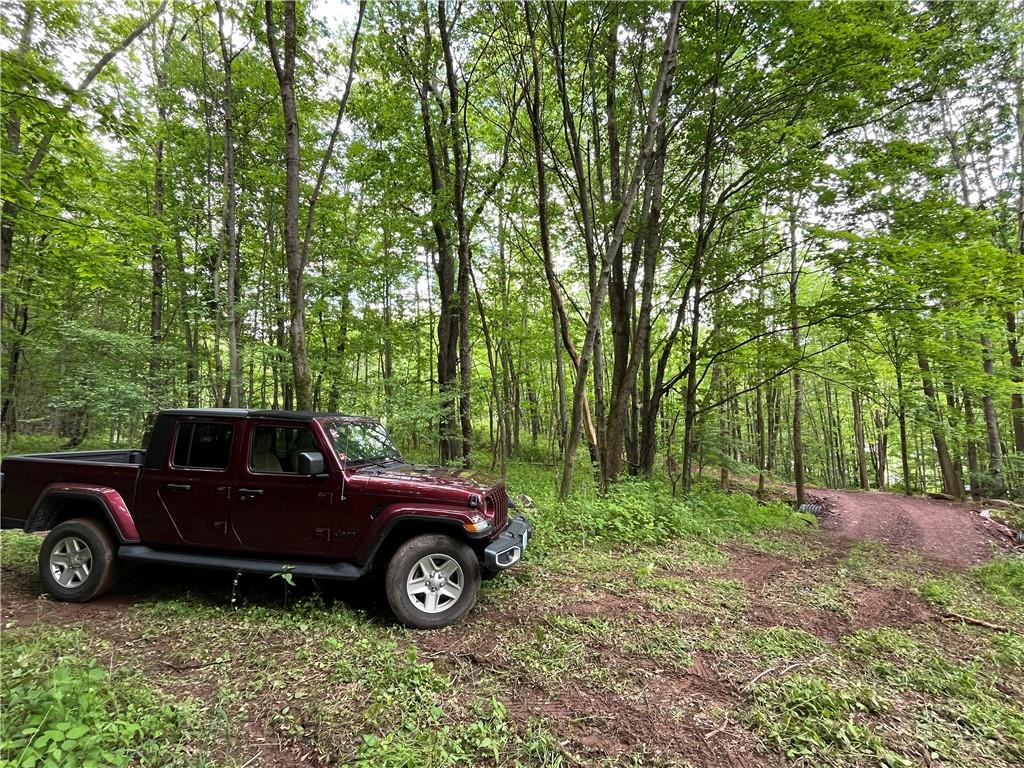 #4 photo, Dahlia LOT 1 Road, Livingston Manor , NY 12758