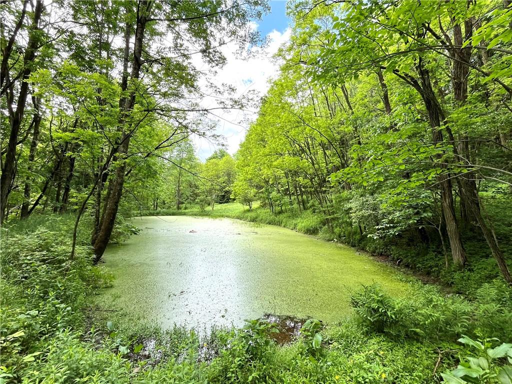 #5 photo, Dahlia LOT 1 Road, Livingston Manor , NY 12758