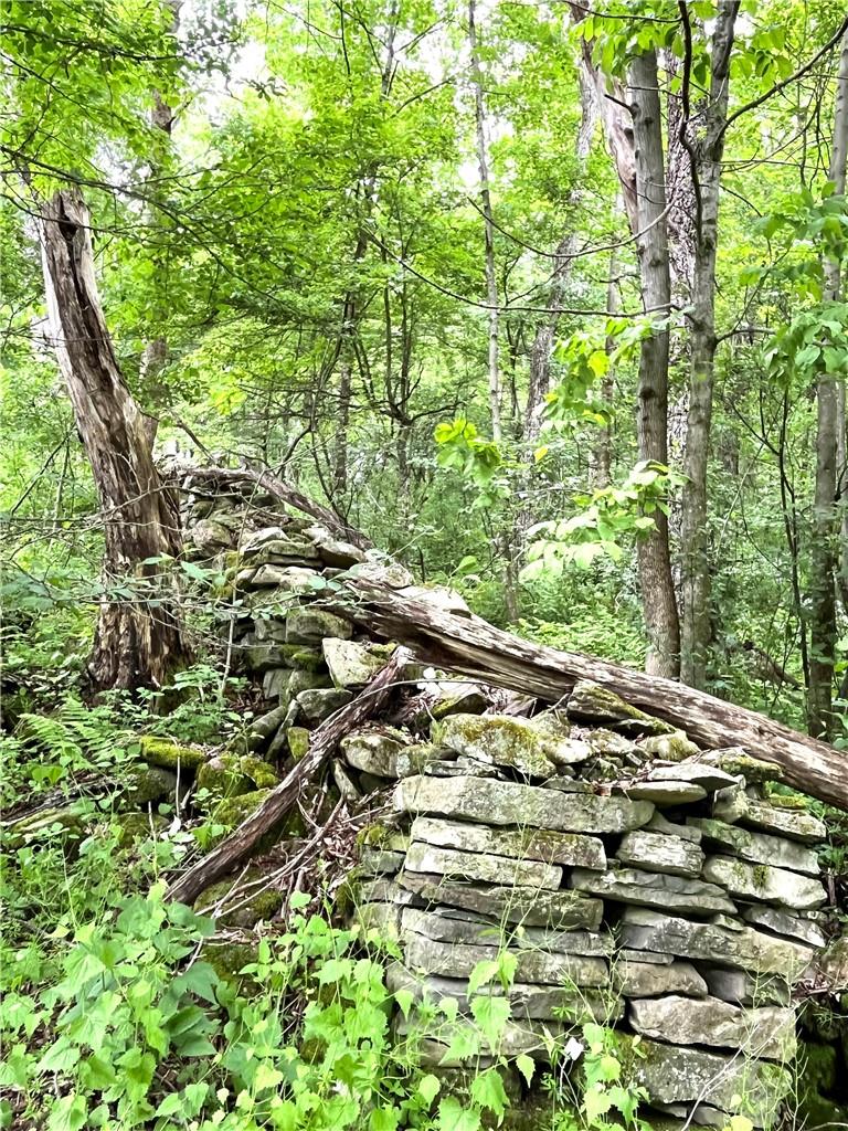 #9 photo, Dahlia LOT 1 Road, Livingston Manor , NY 12758