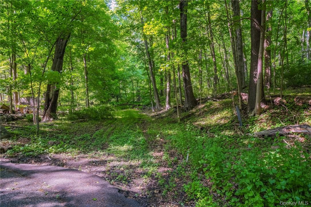 #4 photo, 3 Route 100, Katonah , NY 10536