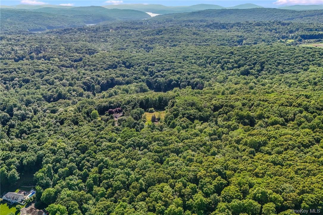 #5 photo, 3 Route 100, Katonah , NY 10536