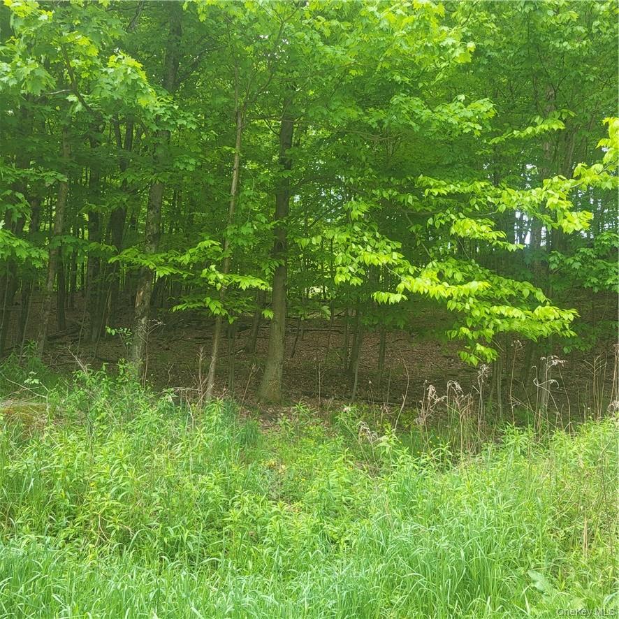 #3 photo, *** Mountaindale Road, Fallsburg , NY 12733