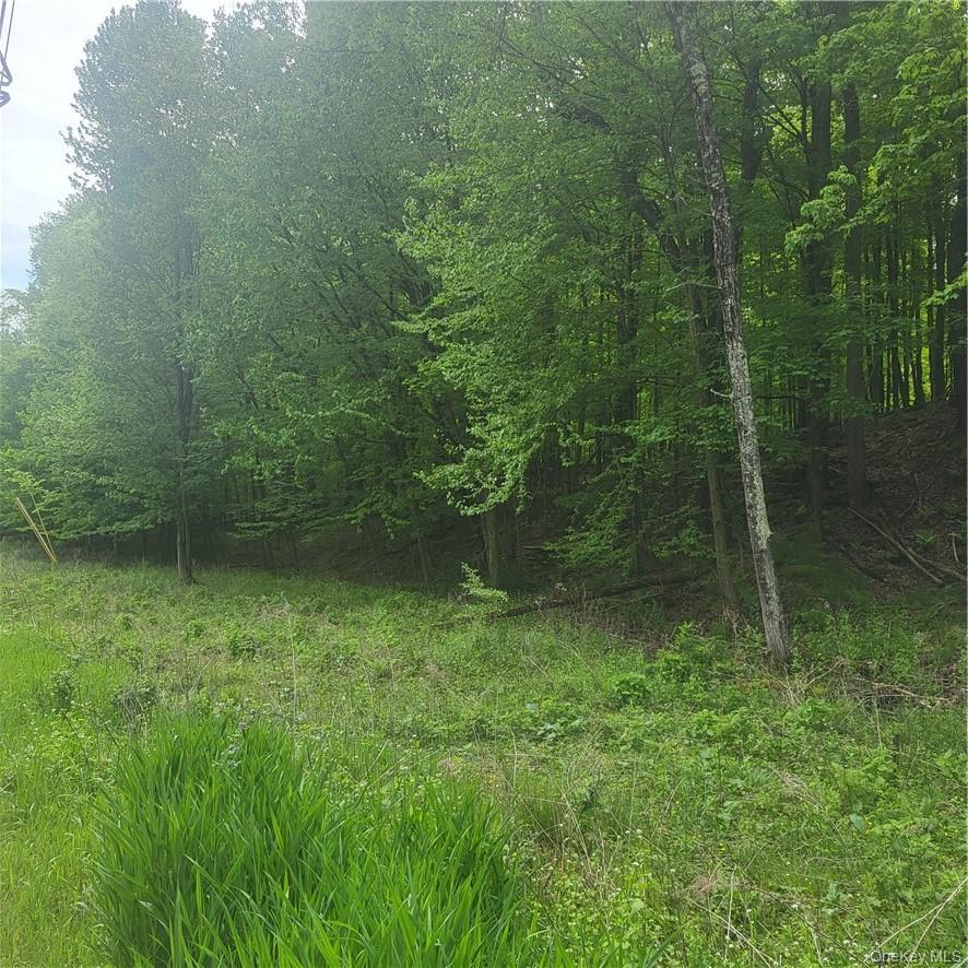 #4 photo, *** Mountaindale Road, Fallsburg , NY 12733