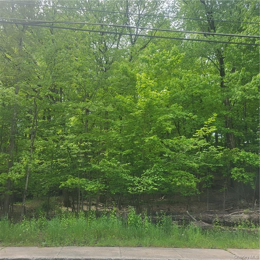 #5 photo, *** Mountaindale Road, Fallsburg , NY 12733