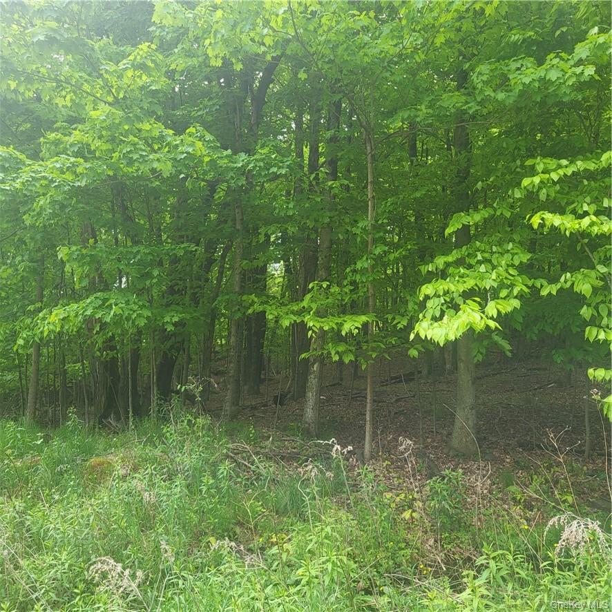 #7 photo, *** Mountaindale Road, Fallsburg , NY 12733