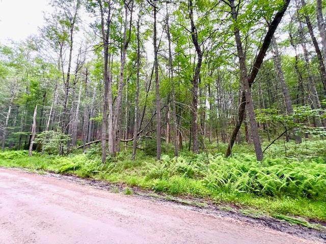 #10 photo, Loch Ada Road, Glen Spey , NY 12737