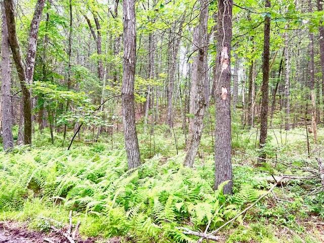 #5 photo, Loch Ada Road, Glen Spey , NY 12737