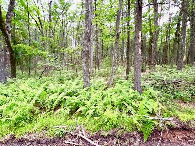 #8 photo, Loch Ada Road, Glen Spey , NY 12737