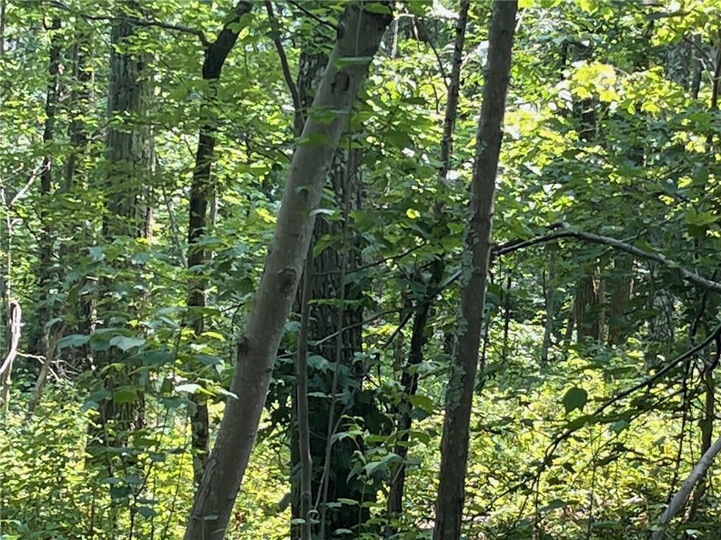 #12 photo, Cascade Mt / Perrys Corners, Amenia , NY 12501