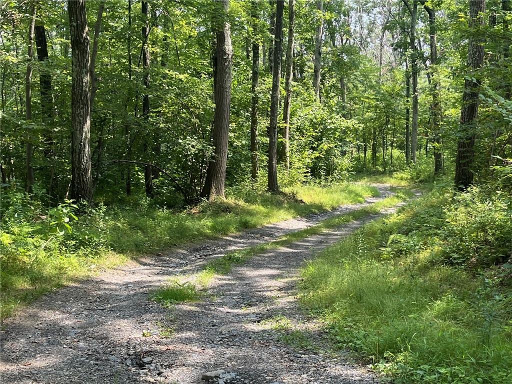 #17 photo, Cascade Mt / Perrys Corners, Amenia , NY 12501