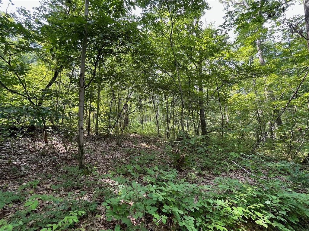 #18 photo, Cascade Mt / Perrys Corners, Amenia , NY 12501