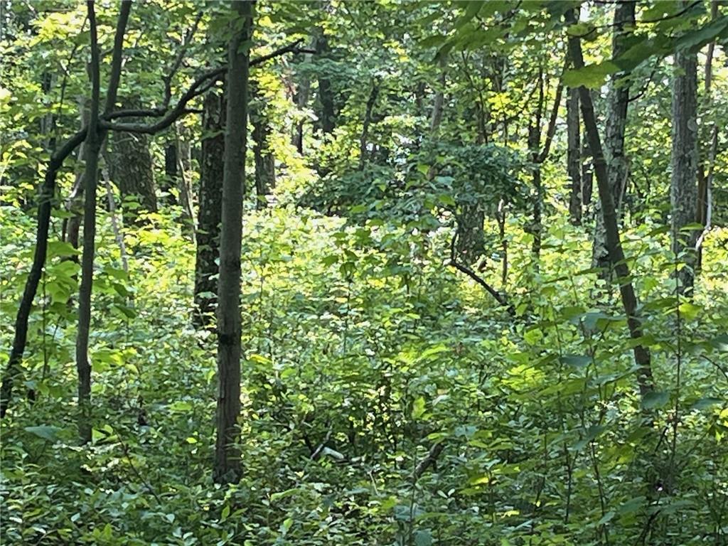 #8 photo, Cascade Mt / Perrys Corners, Amenia , NY 12501