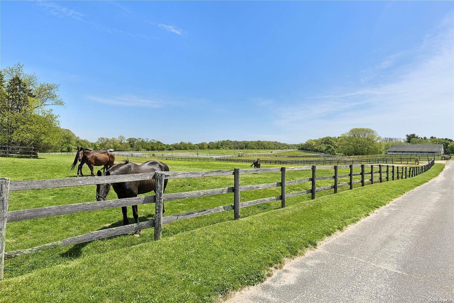 #7 photo, 1386 Main Road, サフォーク郡 Jamesport , NY 11947