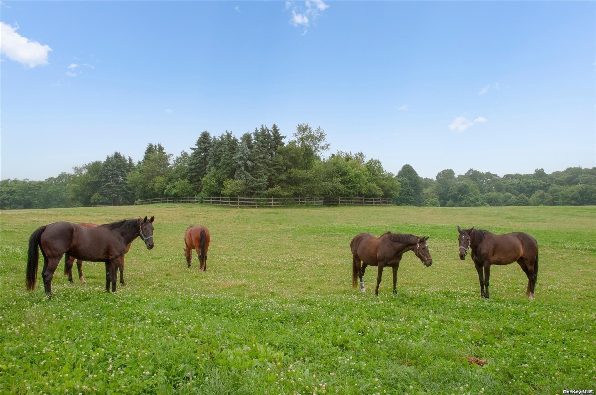 #18 photo, 1394 Main Road, サフォーク郡 Jamesport , NY 11947