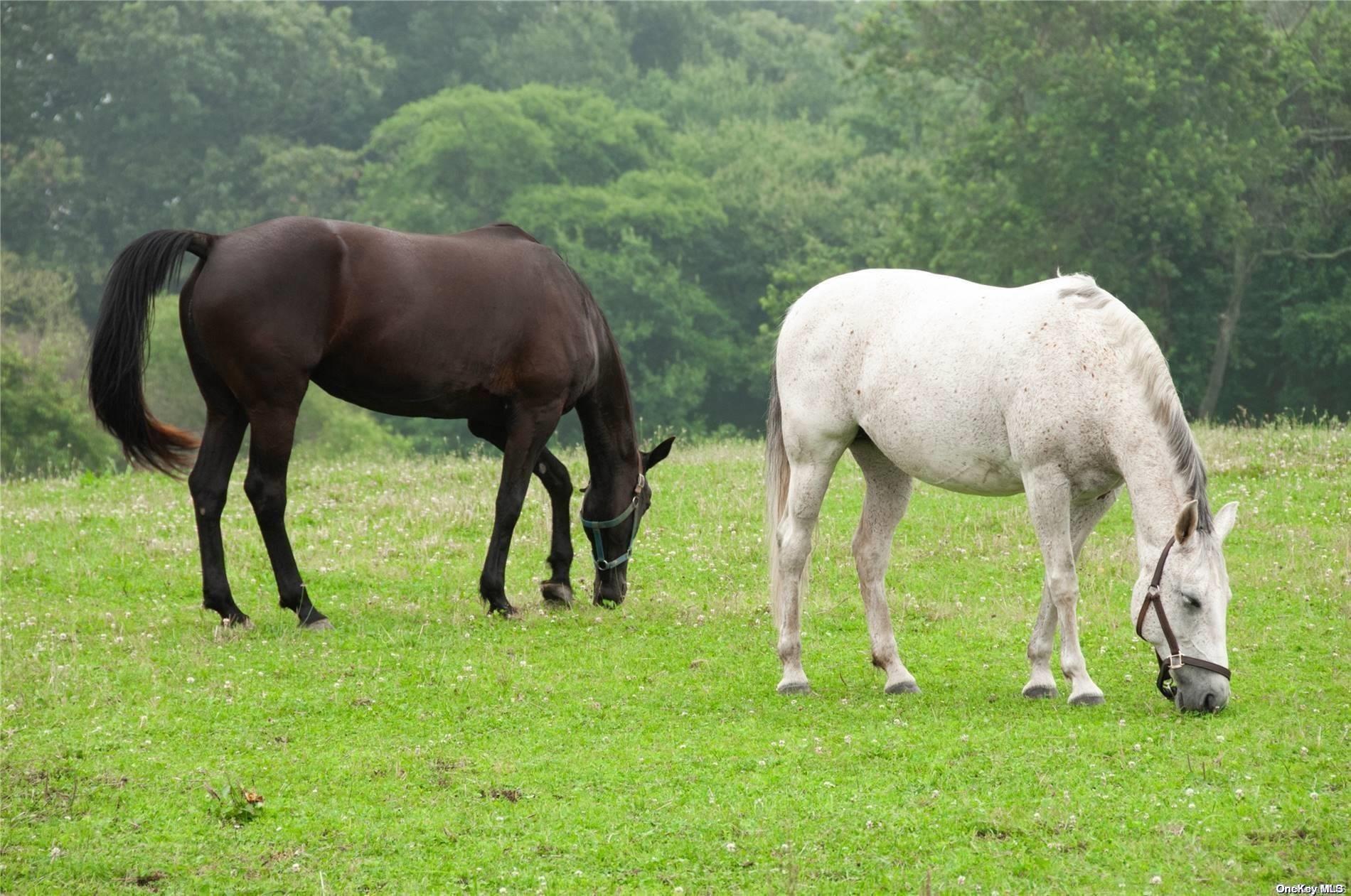 #20 photo, 1394 Main Road, サフォーク郡 Jamesport , NY 11947