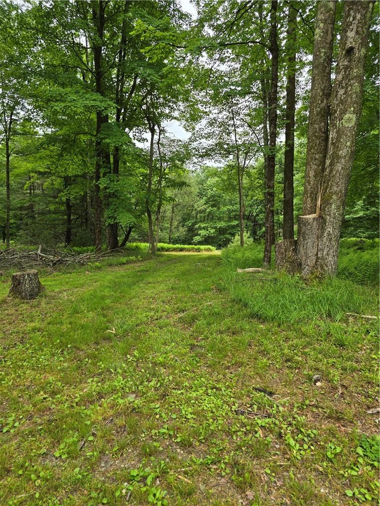 #10 photo, TBD Otens Road, Ellenville , NY 12424