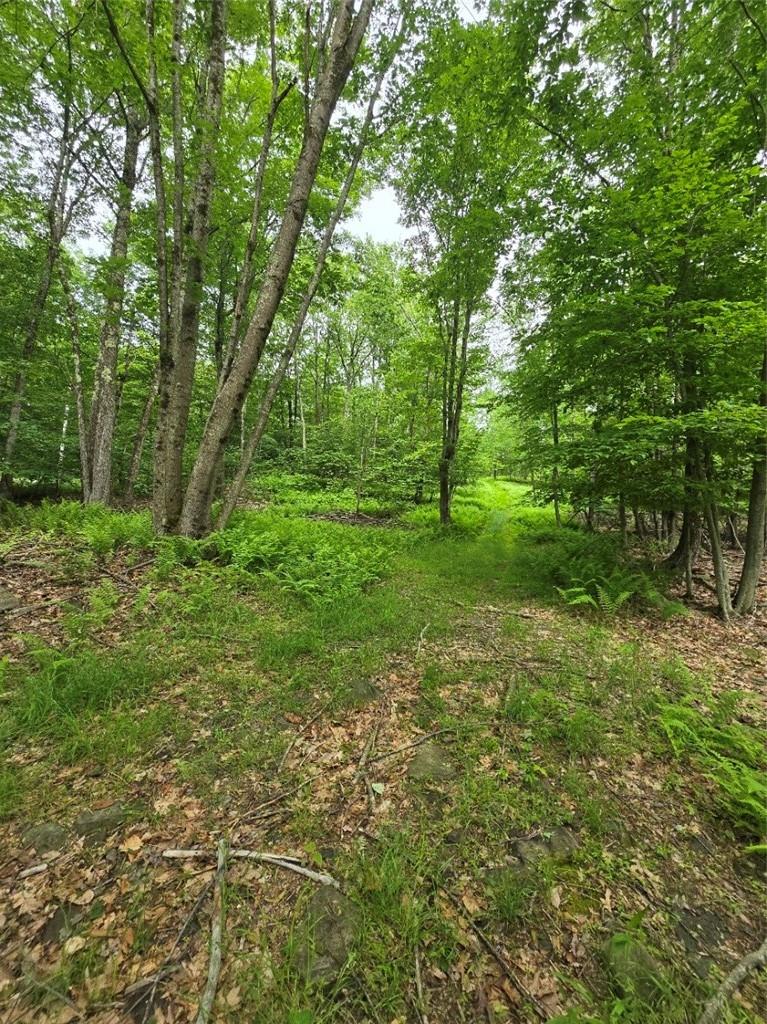 #18 photo, TBD Otens Road, Ellenville , NY 12424