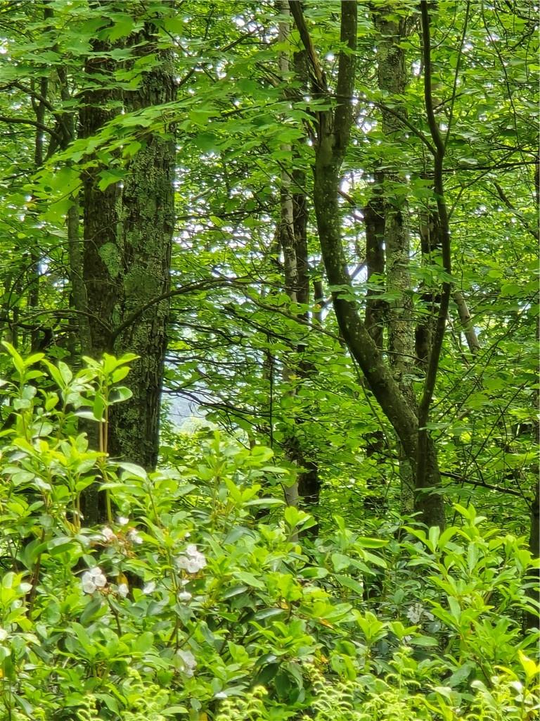 #19 photo, TBD Otens Road, Ellenville , NY 12424