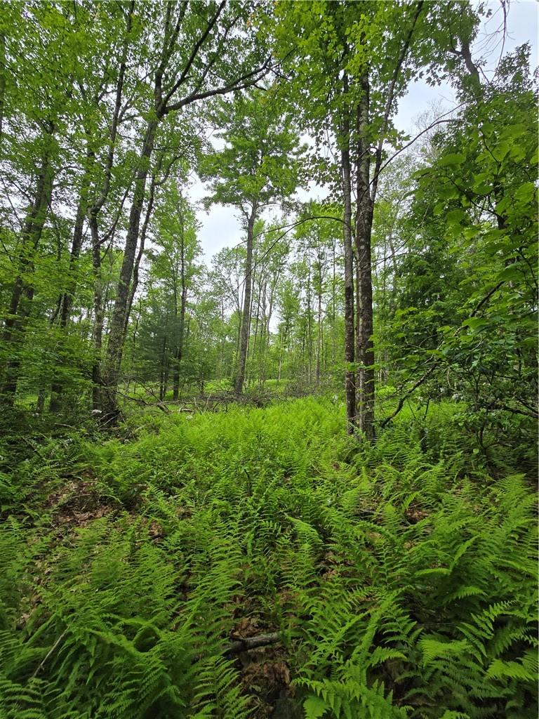 #20 photo, TBD Otens Road, Ellenville , NY 12424