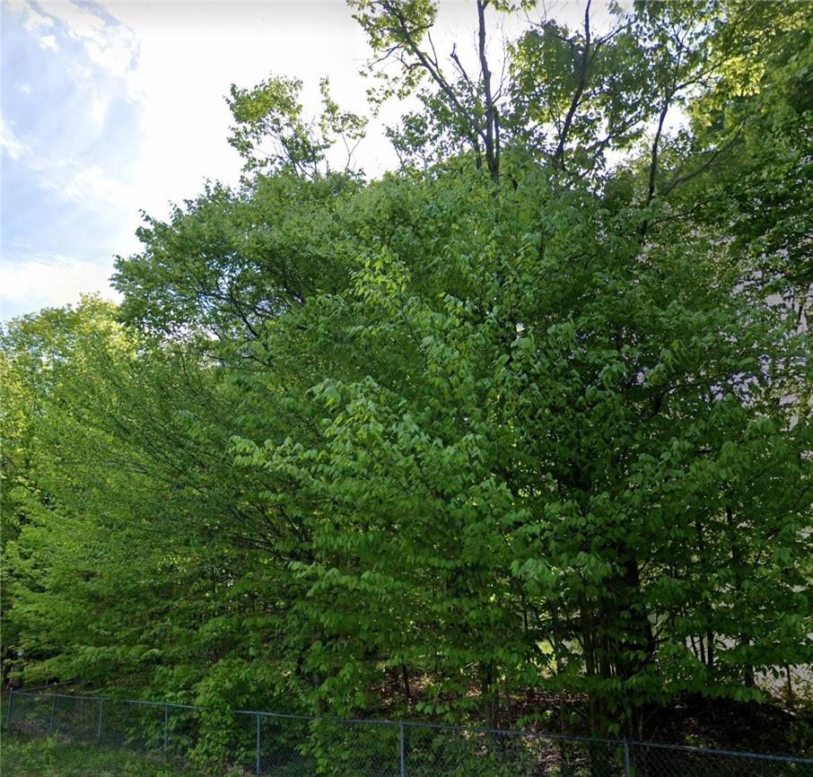 #9 photo, 327 Old White lake Turnpike Road, Bethel , NY 12720