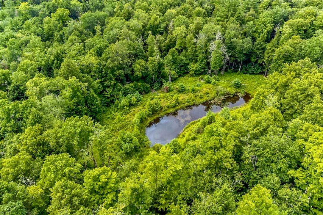 #10 photo, 668 Starlight Road, Monticello , NY 12701