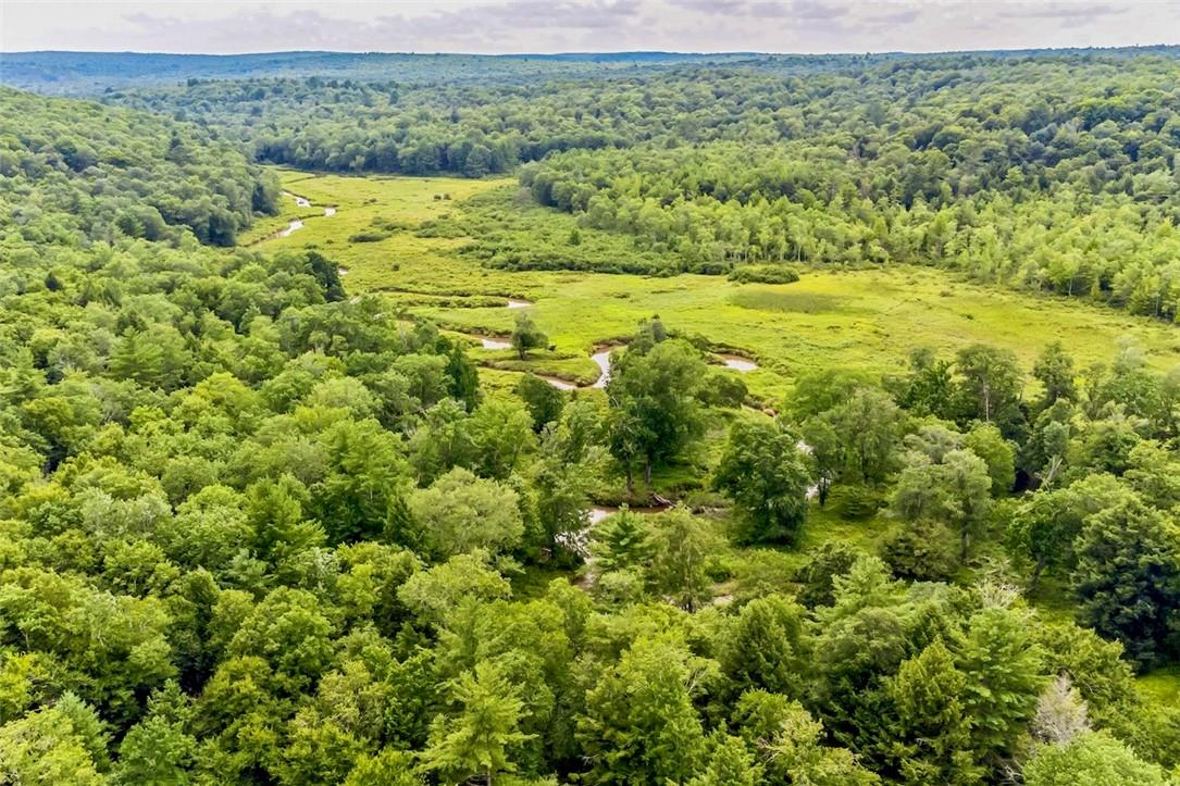 #15 photo, 668 Starlight Road, Monticello , NY 12701