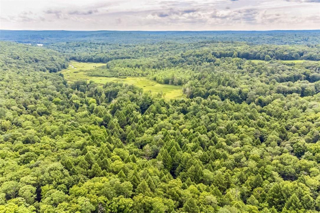 #16 photo, 668 Starlight Road, Monticello , NY 12701