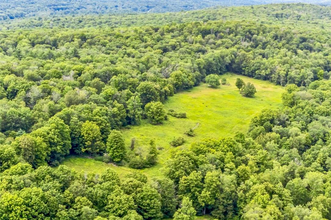 #17 photo, 668 Starlight Road, Monticello , NY 12701