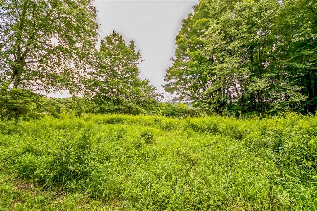 #18 photo, 668 Starlight Road, Monticello , NY 12701