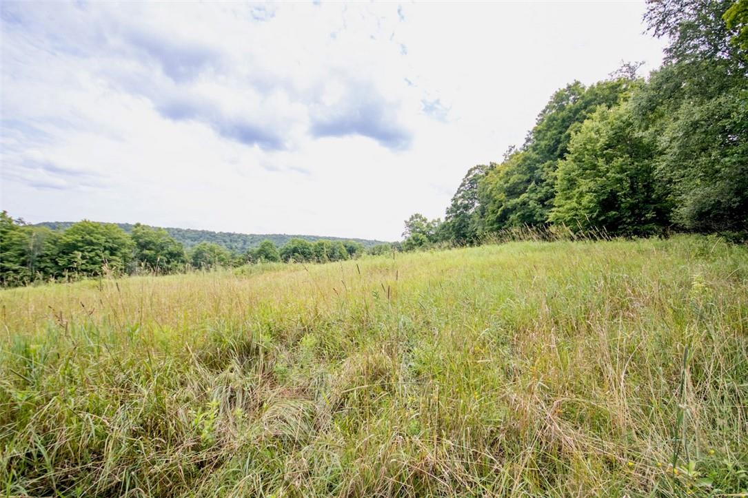 #20 photo, 668 Starlight Road, Monticello , NY 12701