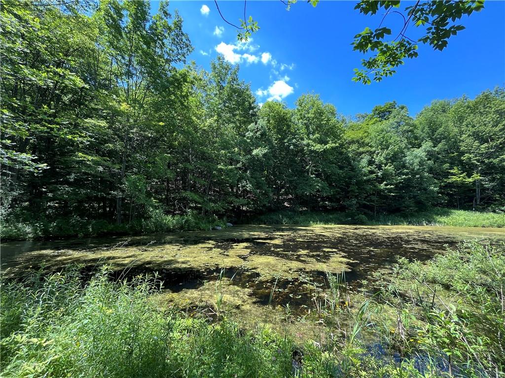 #11 photo, Dahlia LOT 2 Road, Livingston Manor , NY 12758