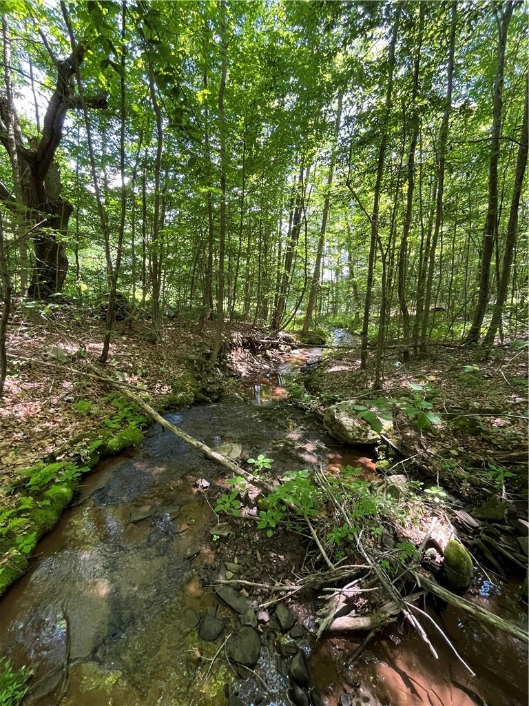 #12 photo, Dahlia LOT 2 Road, Livingston Manor , NY 12758