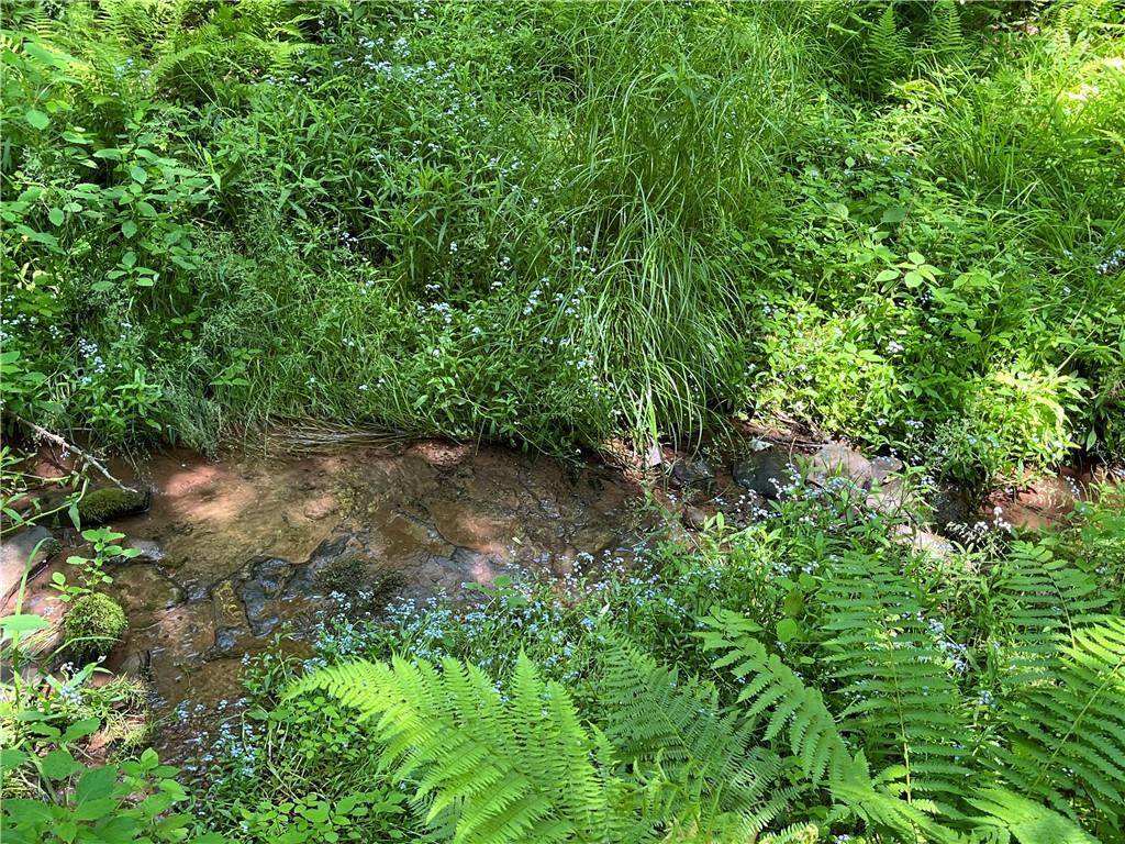 #13 photo, Dahlia LOT 2 Road, Livingston Manor , NY 12758