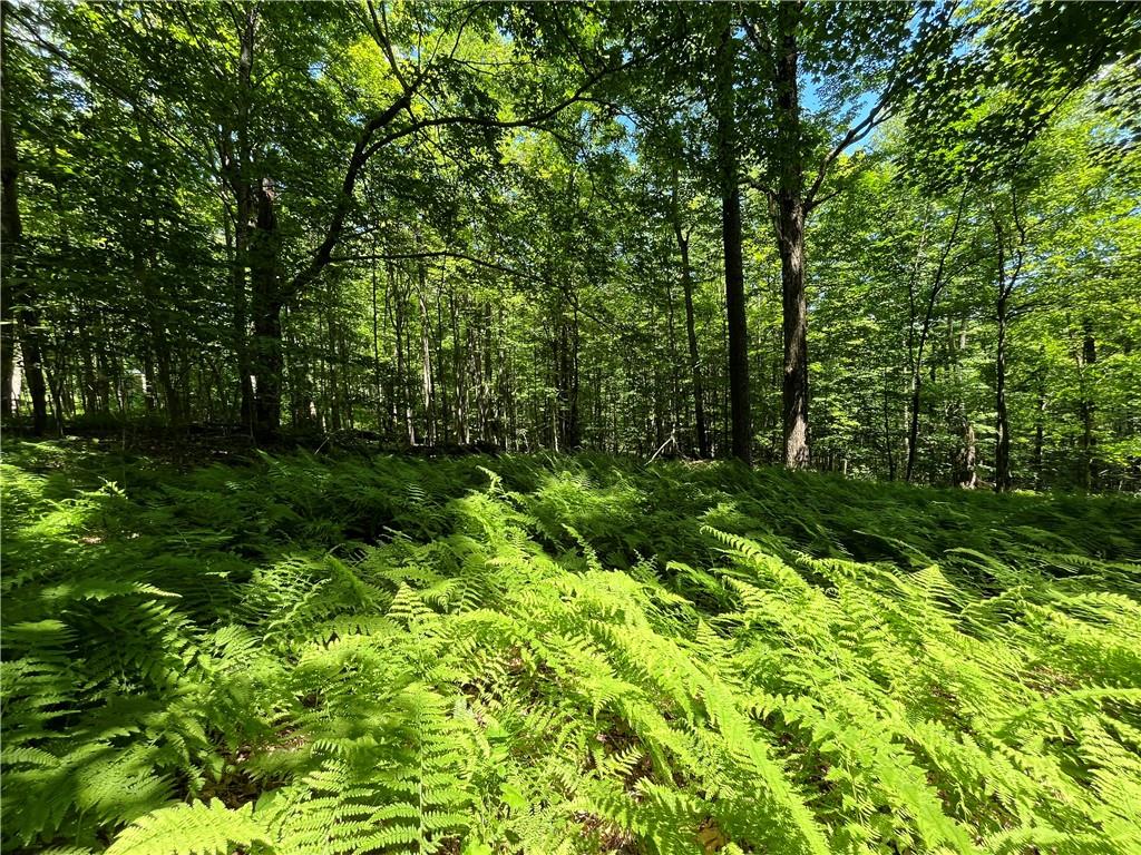 #14 photo, Dahlia LOT 2 Road, Livingston Manor , NY 12758