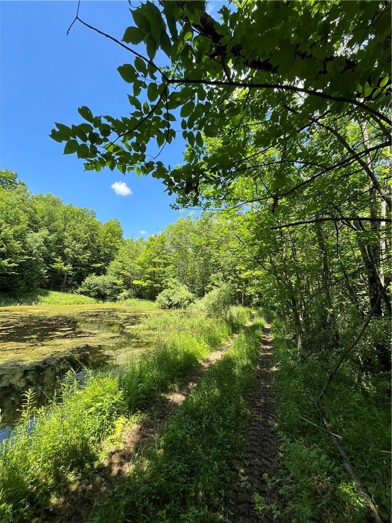 #15 photo, Dahlia LOT 2 Road, Livingston Manor , NY 12758