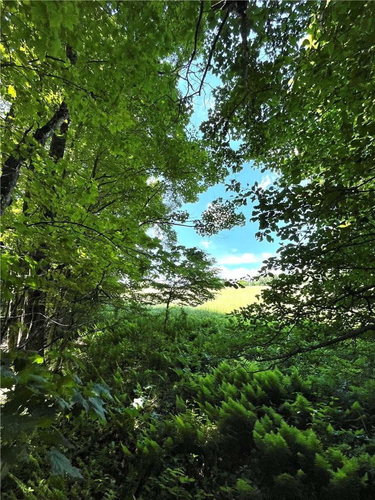 #17 photo, Dahlia LOT 2 Road, Livingston Manor , NY 12758