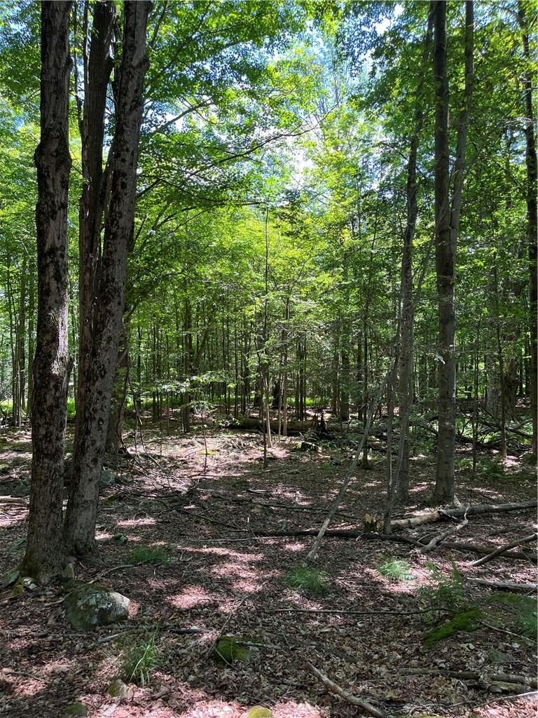 #18 photo, Dahlia LOT 2 Road, Livingston Manor , NY 12758