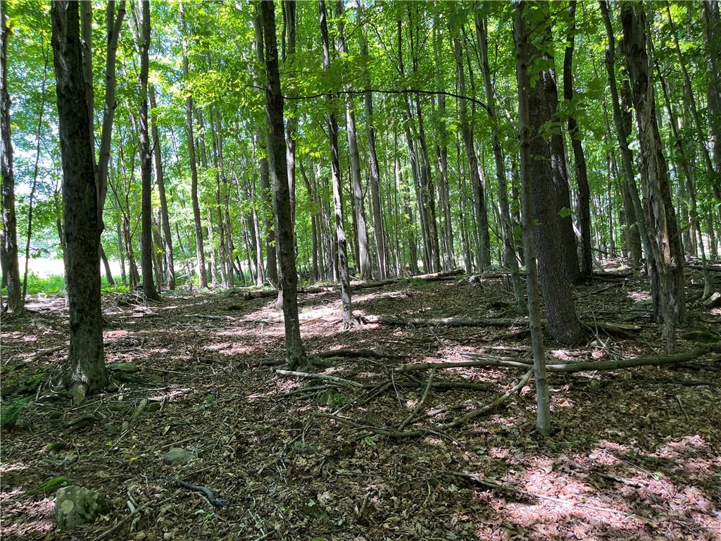 #19 photo, Dahlia LOT 2 Road, Livingston Manor , NY 12758